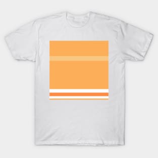 An unparagoned amalgam of Purple Navy, White, Topaz, Pale Orange and Orangeish stripes. T-Shirt